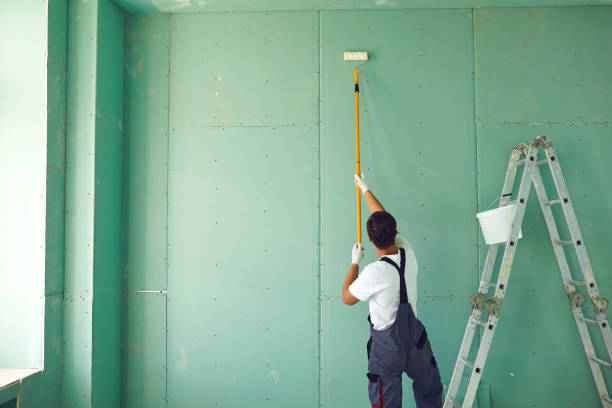 Best Emergency Mold Remediation  in Blplay, AL