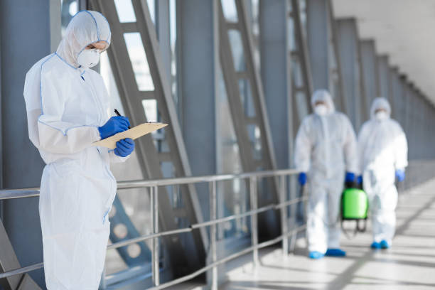 Biohazard Mold Removal in Ballplay, AL