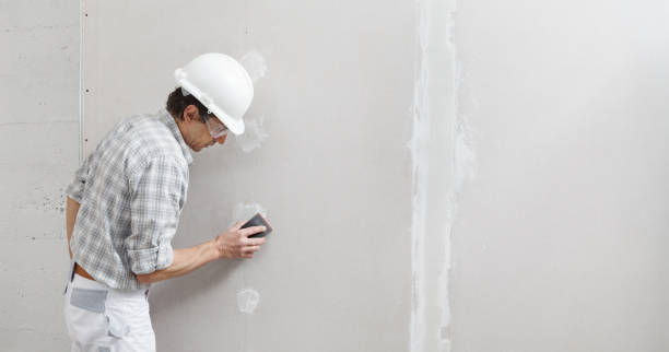 Best Mold Removal for HVAC Installations  in Blplay, AL