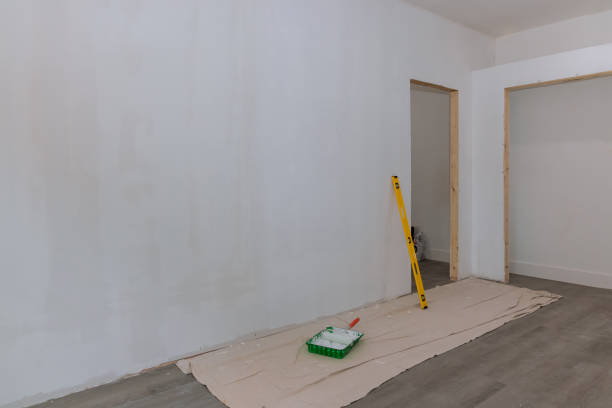 Best Black Mold Removal  in Blplay, AL
