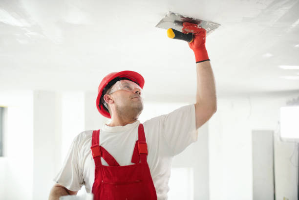 Best Environmental Consulting for Mold Prevention  in Blplay, AL