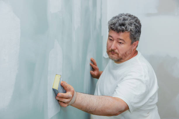 Best Post-Construction Mold Inspection  in Blplay, AL