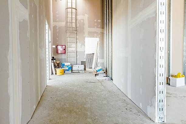 Best Real Estate Mold Inspection  in Blplay, AL