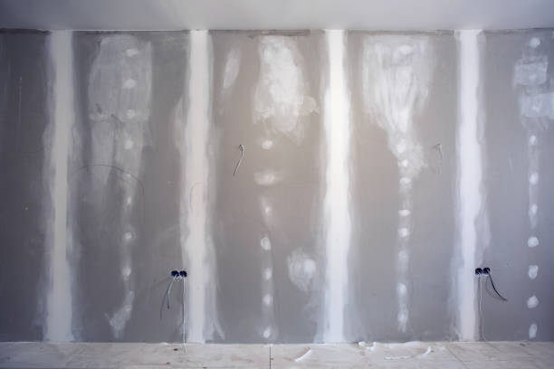 Best Emergency Mold Remediation  in Blplay, AL