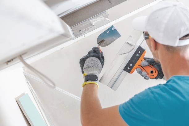 Best Air Quality Testing for Mold Spores  in Blplay, AL